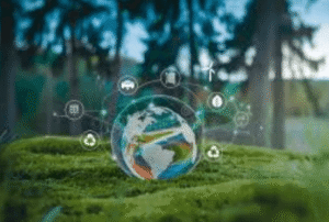 Green Innovation in the Digital World