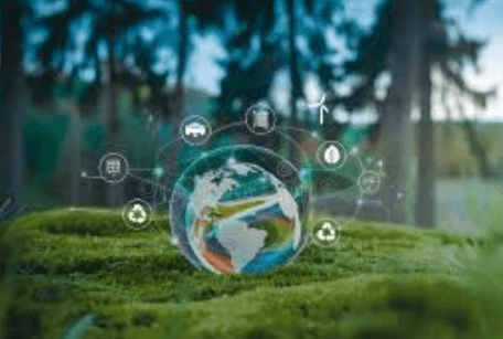 Green Innovation in the Digital World